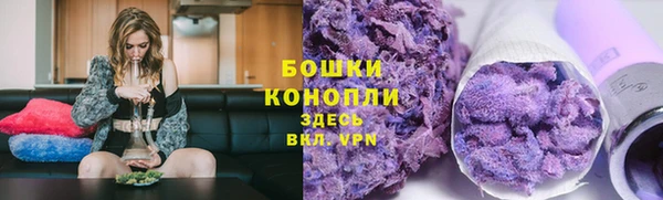трава Вязьма