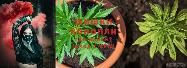 2c-b Вяземский